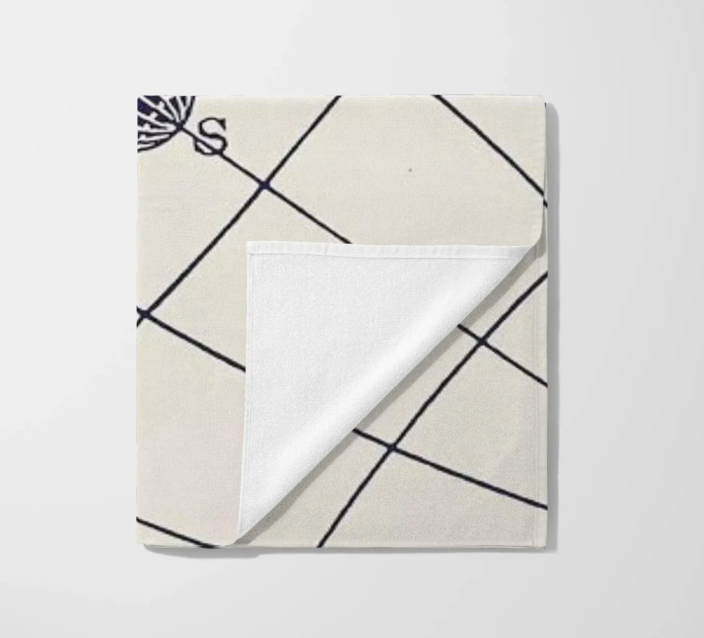 NSOQ telo mare da Astër