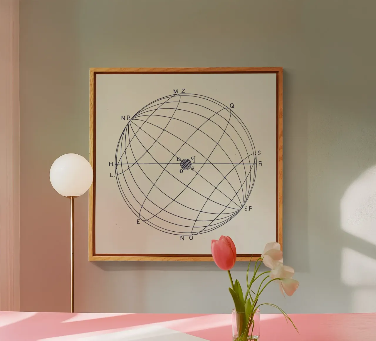 NSOQ plexiglass da Astër