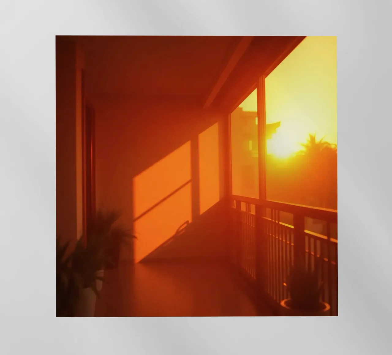 Il tramonto proietta una calda luce arancione sul balcone con le piante pellicola backlit da DesignDoodle