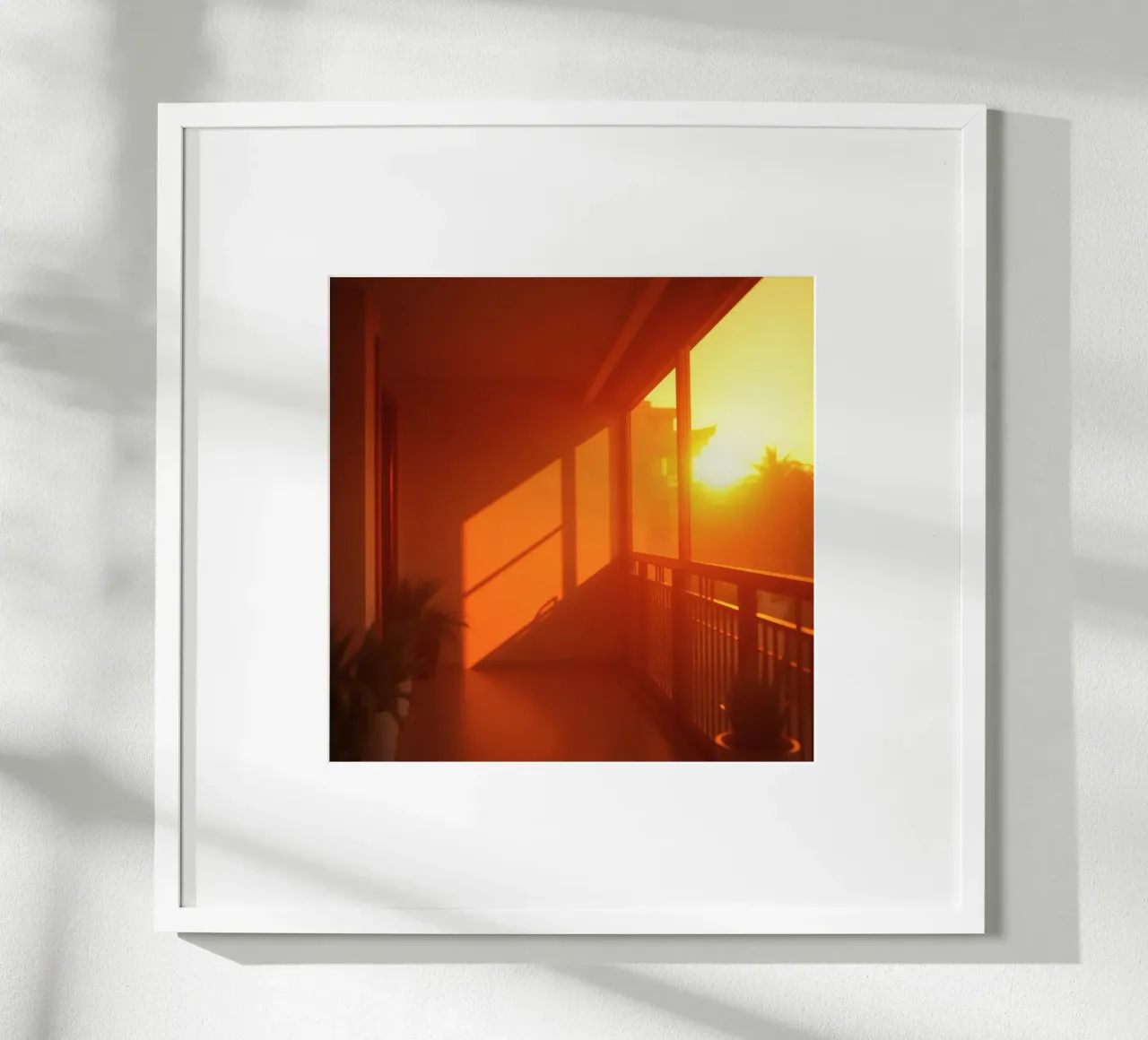 Il tramonto proietta una calda luce arancione sul balcone con le piante carta hahnemühle da DesignDoodle