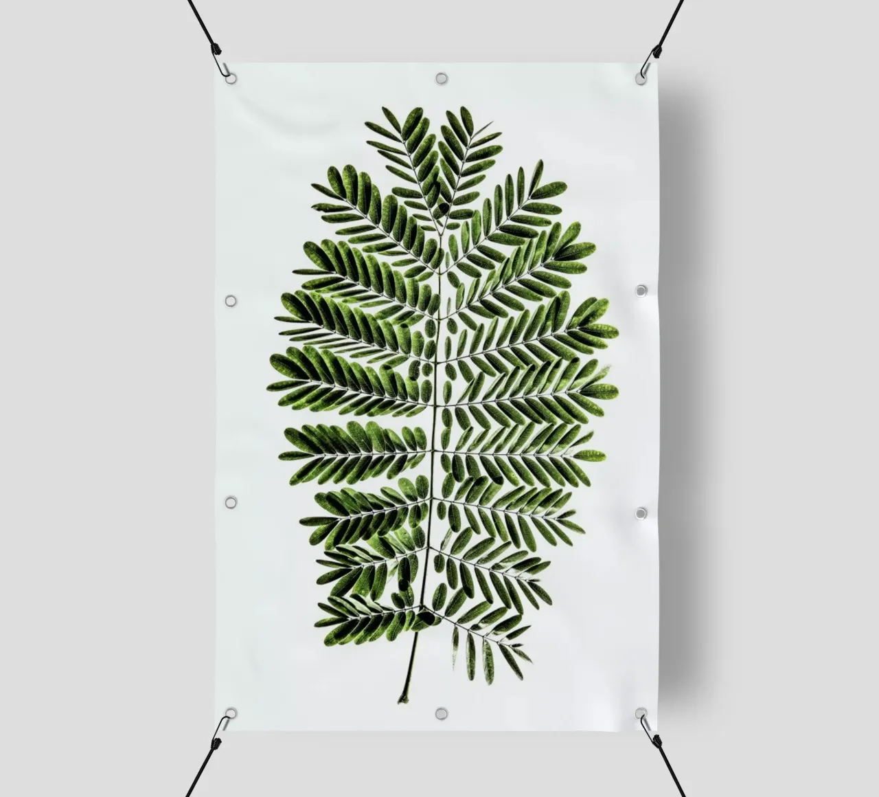 Leaf Study 2 bâche pvc de Shot By Clint