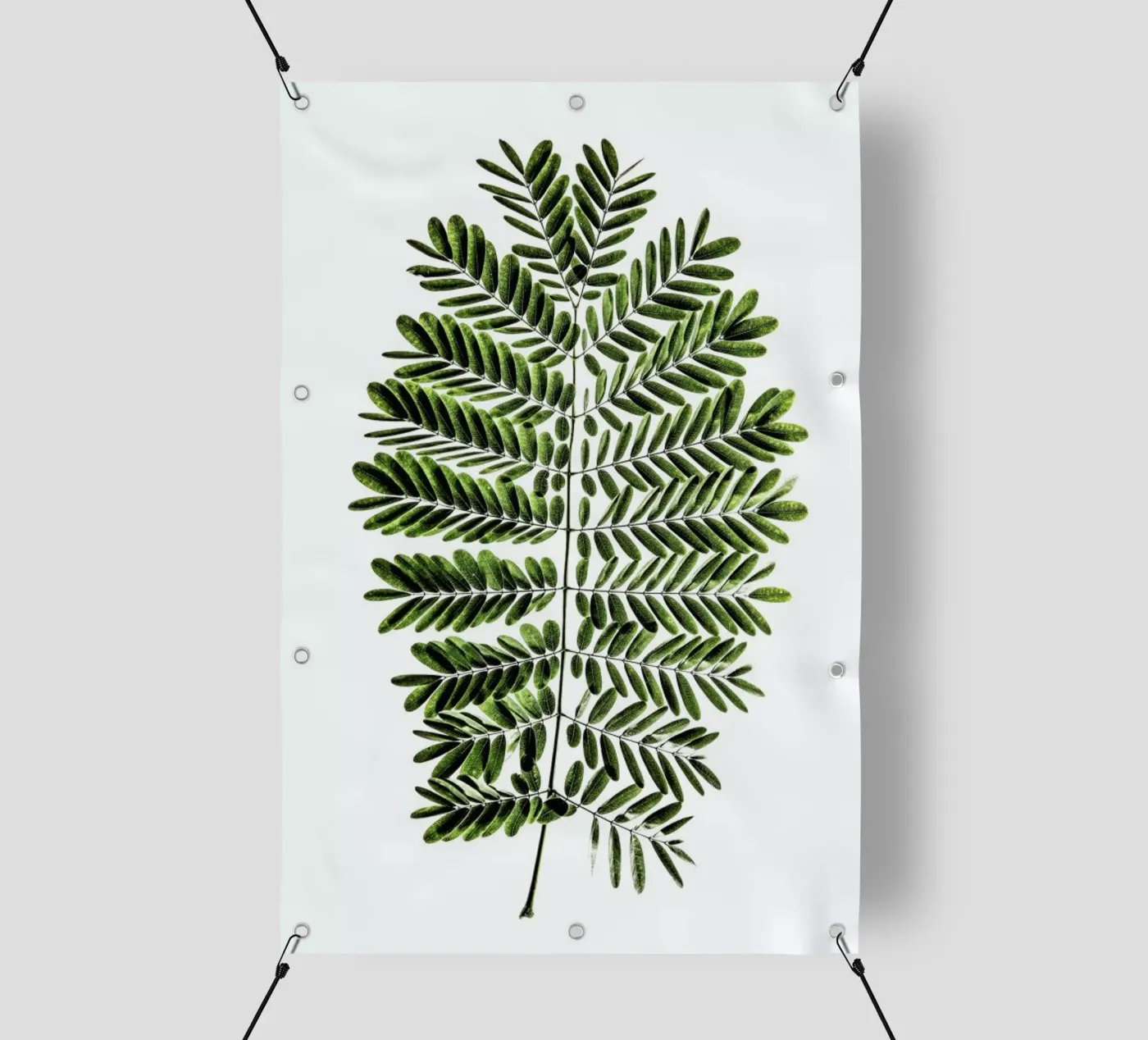 Leaf Study 2 PVC Plane von Shot By Clint