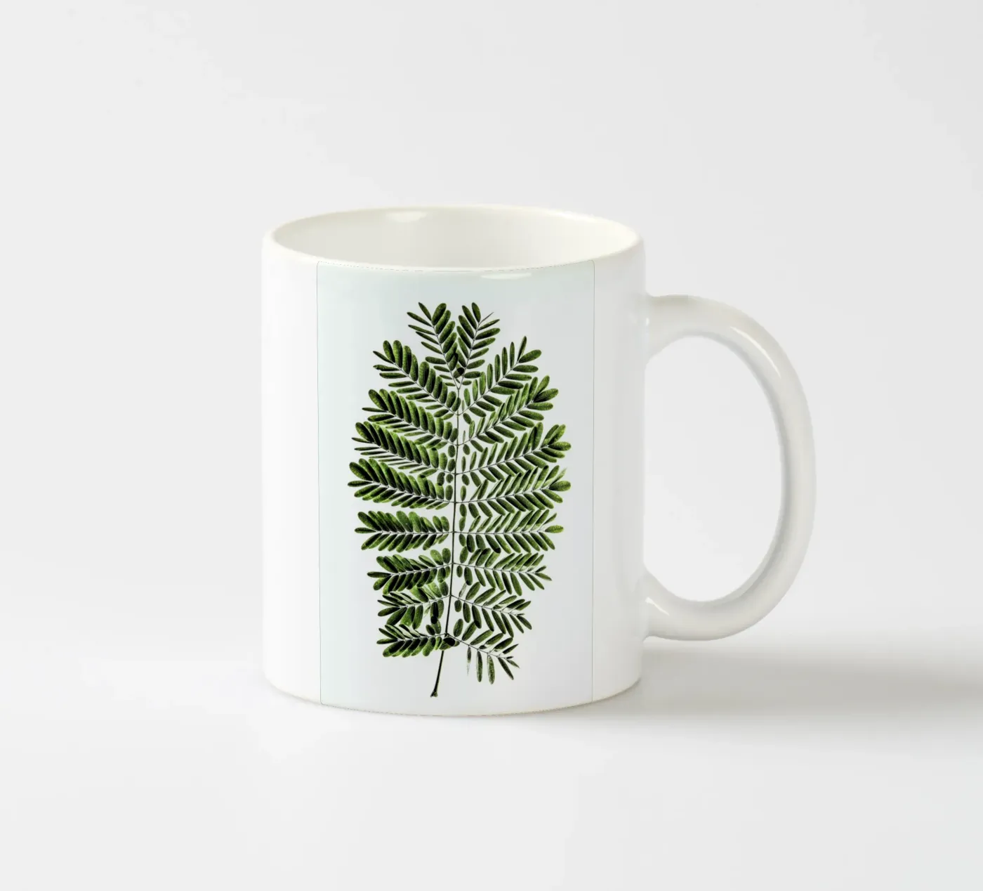 Leaf Study 2 ceramic mug by Shot By Clint
