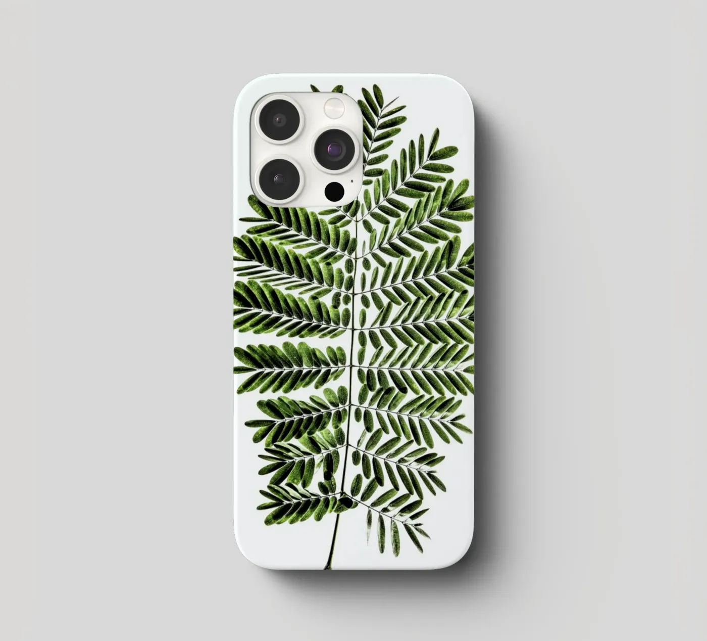 Leaf Study 2 iphone case by Shot By Clint