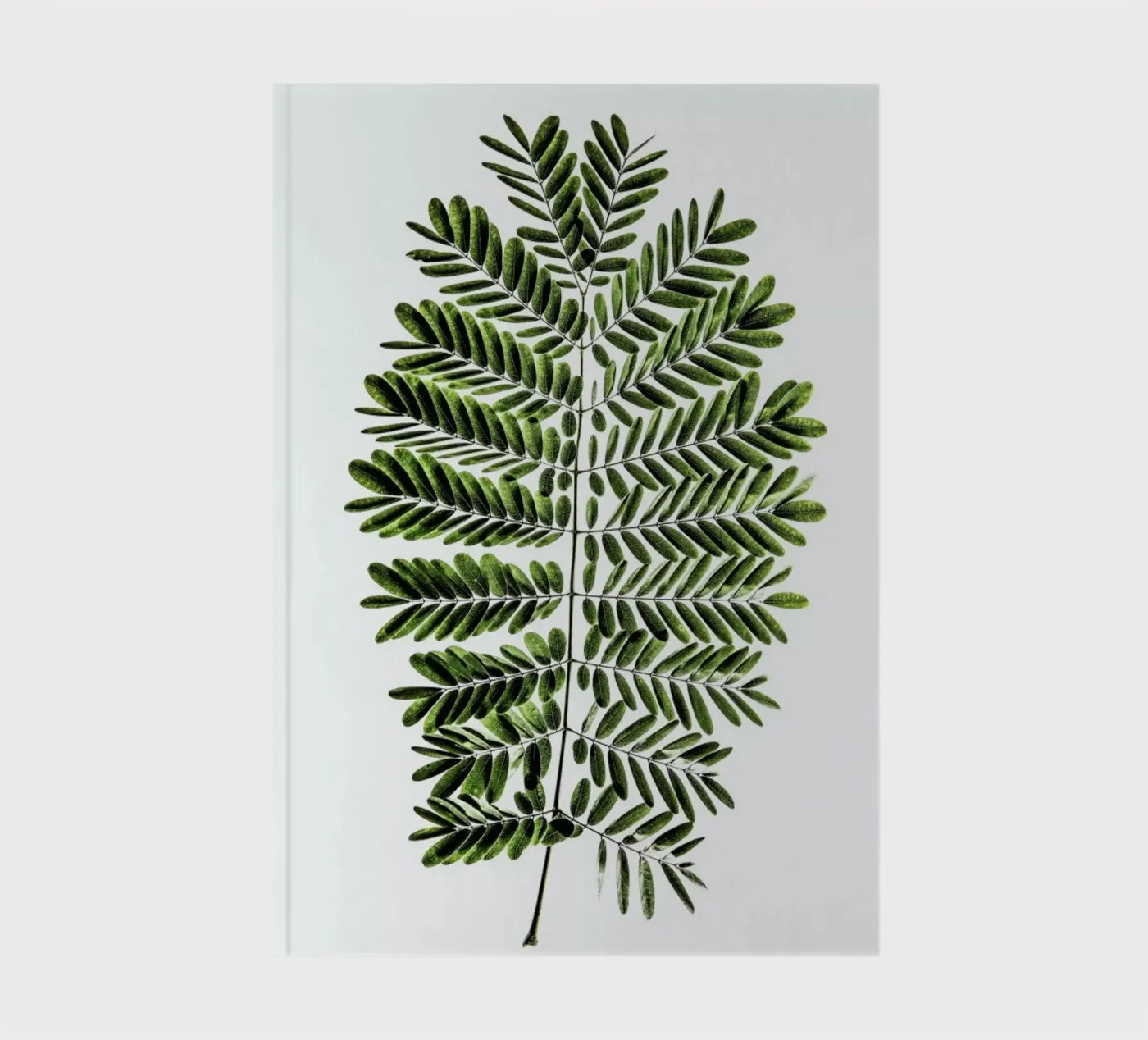Leaf Study 2 Notizbuch von Shot By Clint