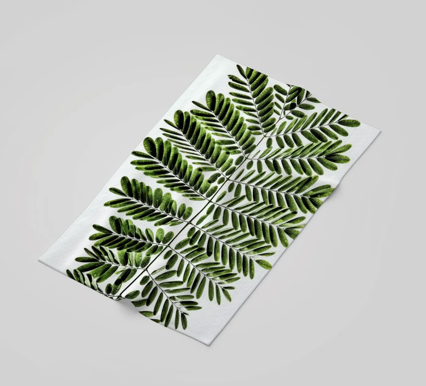 Leaf Study 2 telo mare da Shot By Clint