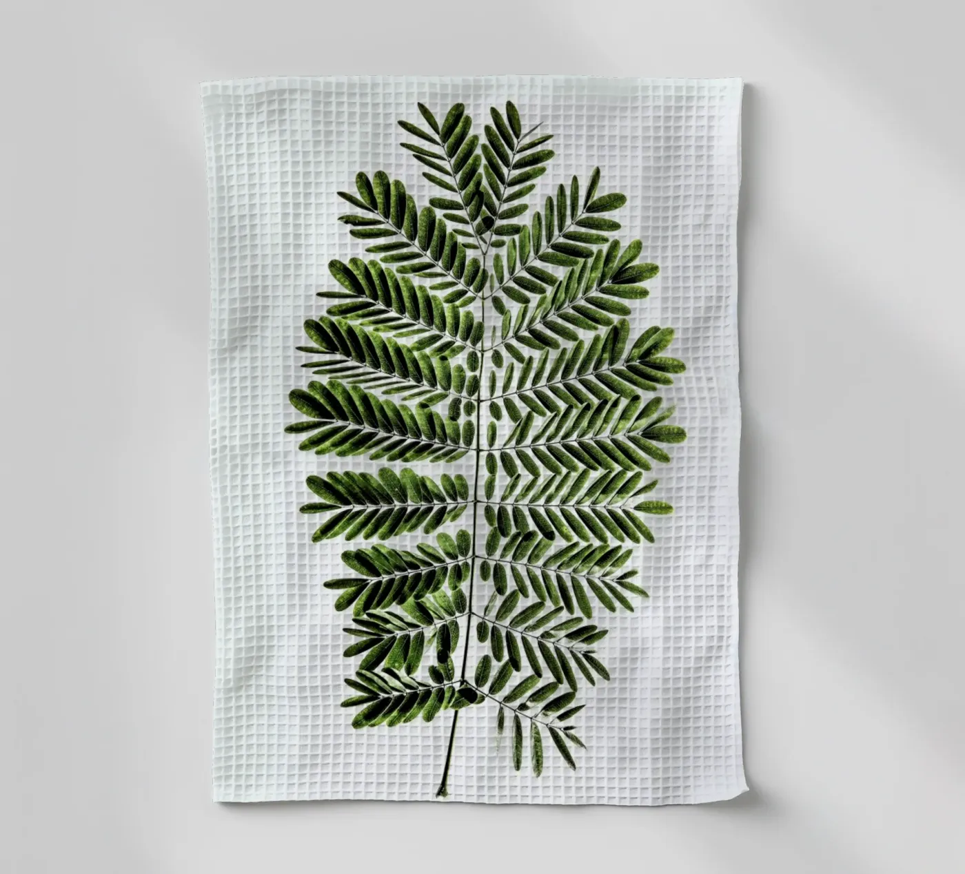 Leaf Study 2 torchon de Shot By Clint