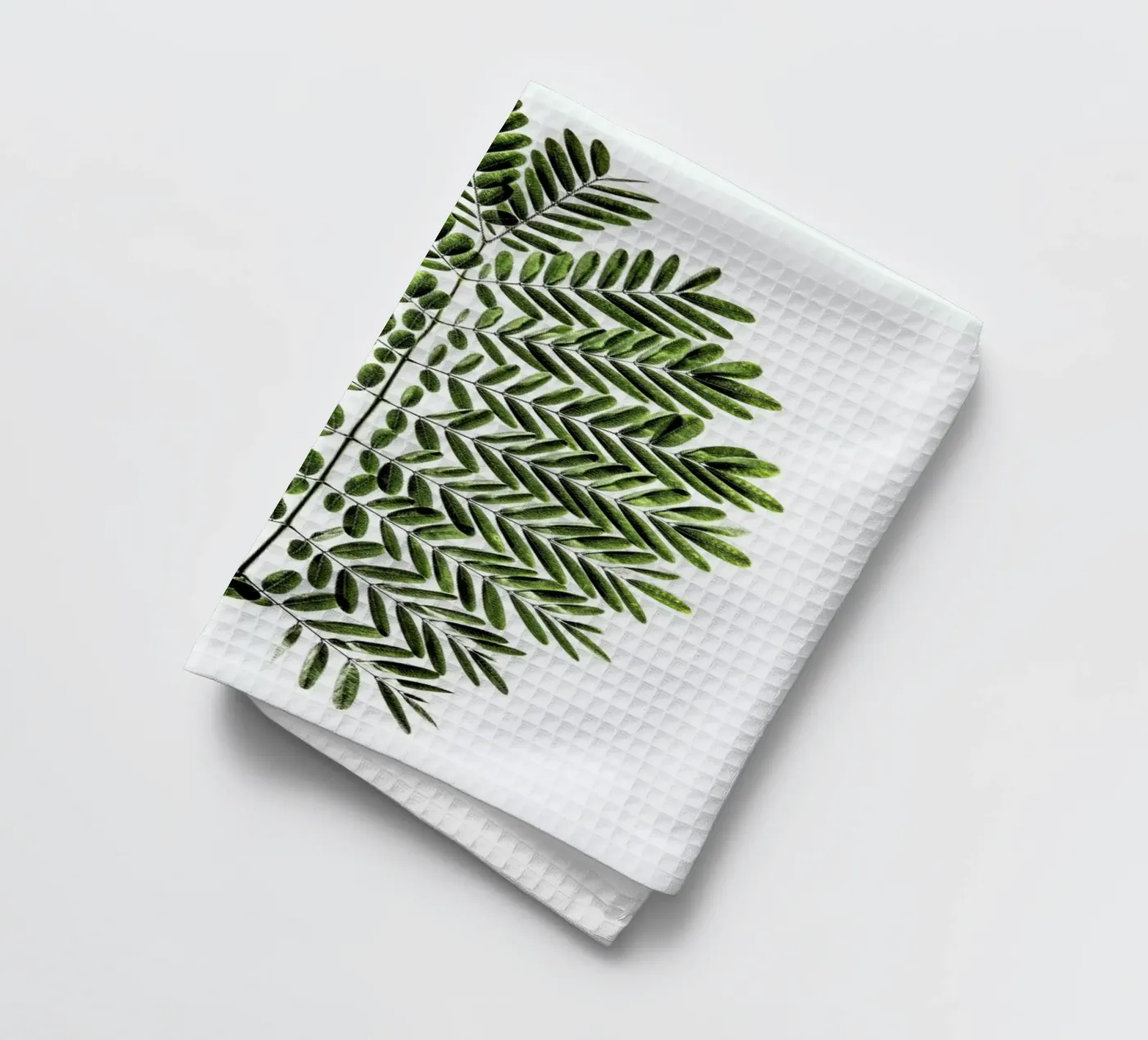 Leaf Study 2 torchon de Shot By Clint