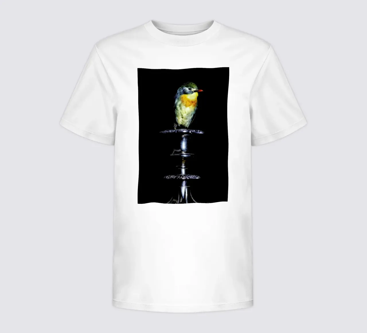 Birds Everywhere 21 kids t-shirt by Günther Egger
