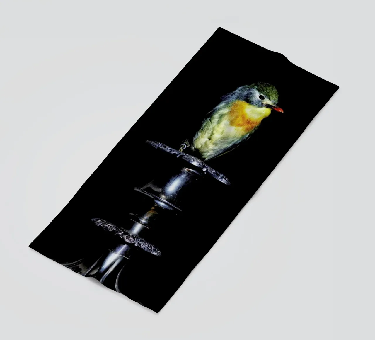 Birds Everywhere 21 telo mare da Günther Egger