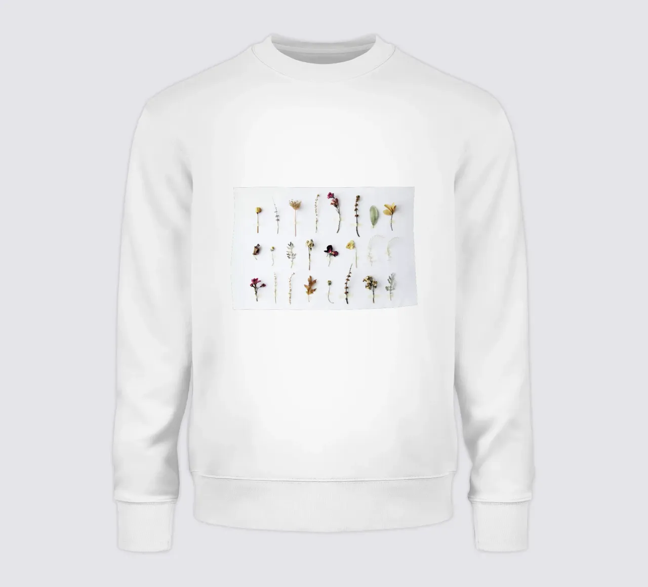 Flora Study felpa da Miles of Light