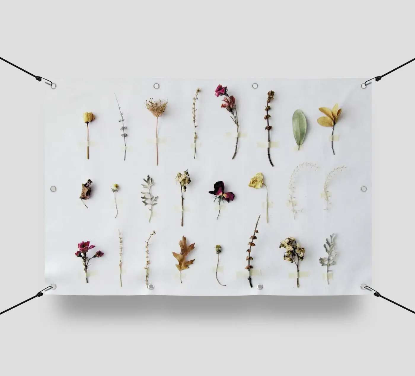 Flora Study telo in pvc da Miles of Light