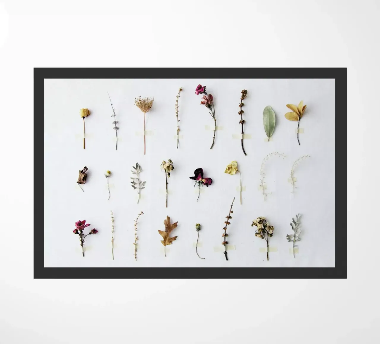 Flora Study doormat by Miles of Light