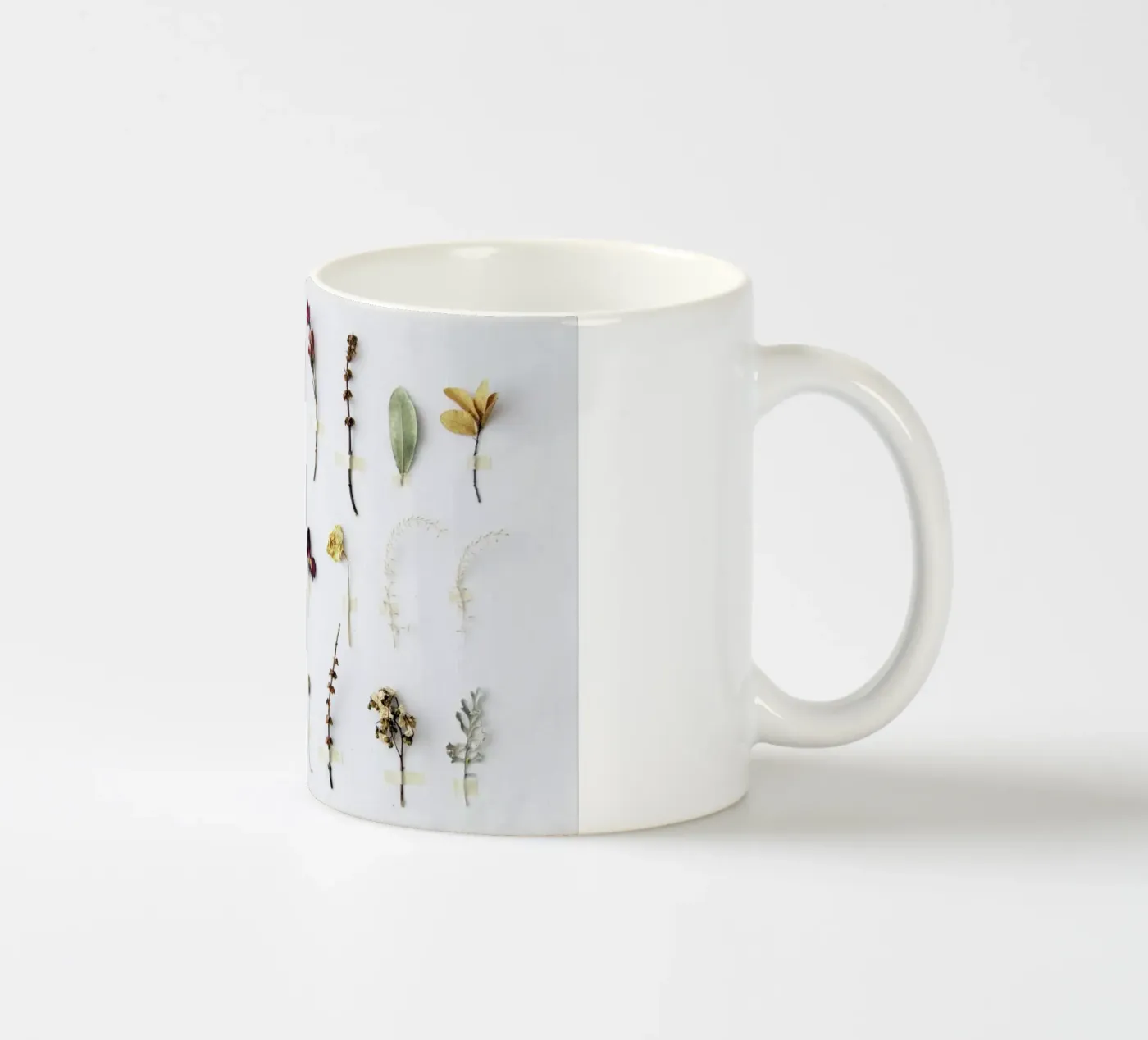 Flora Study ceramic mug by Miles of Light