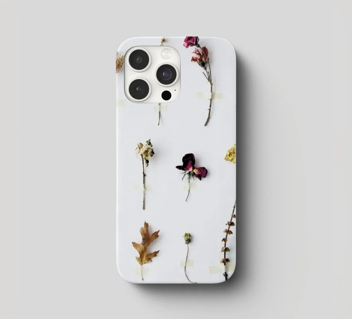 Flora Study iphone case by Miles of Light