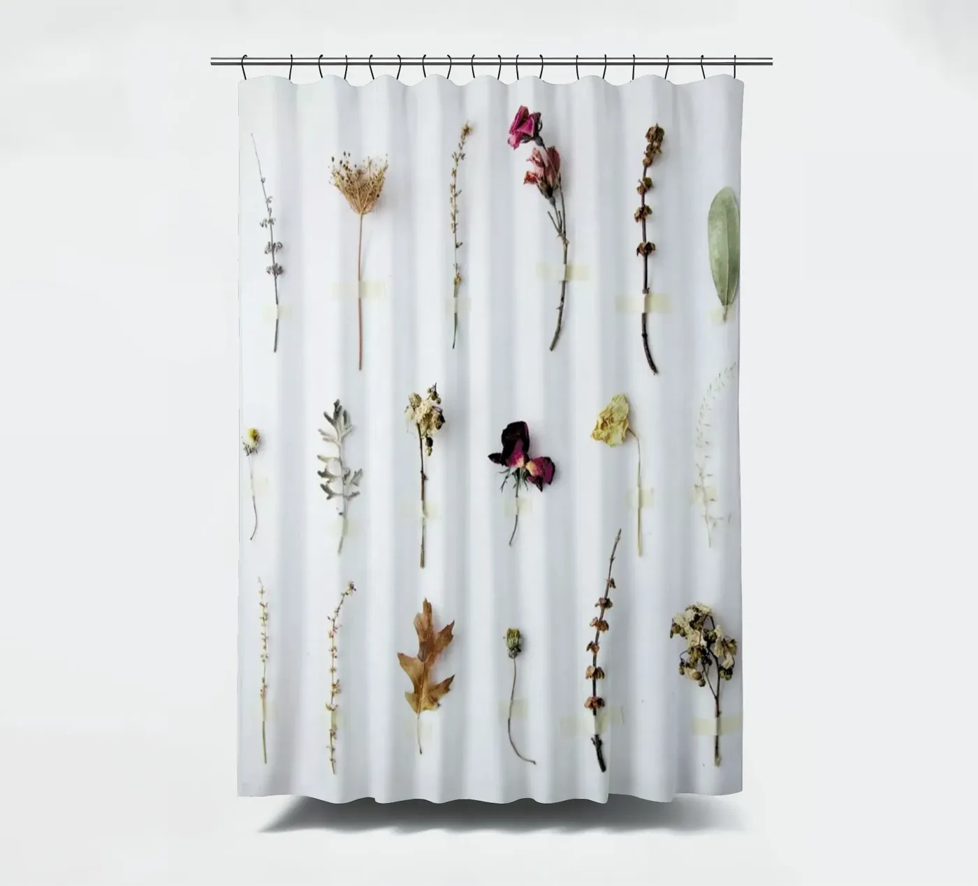 Flora Study Duschvorhang von Miles of Light