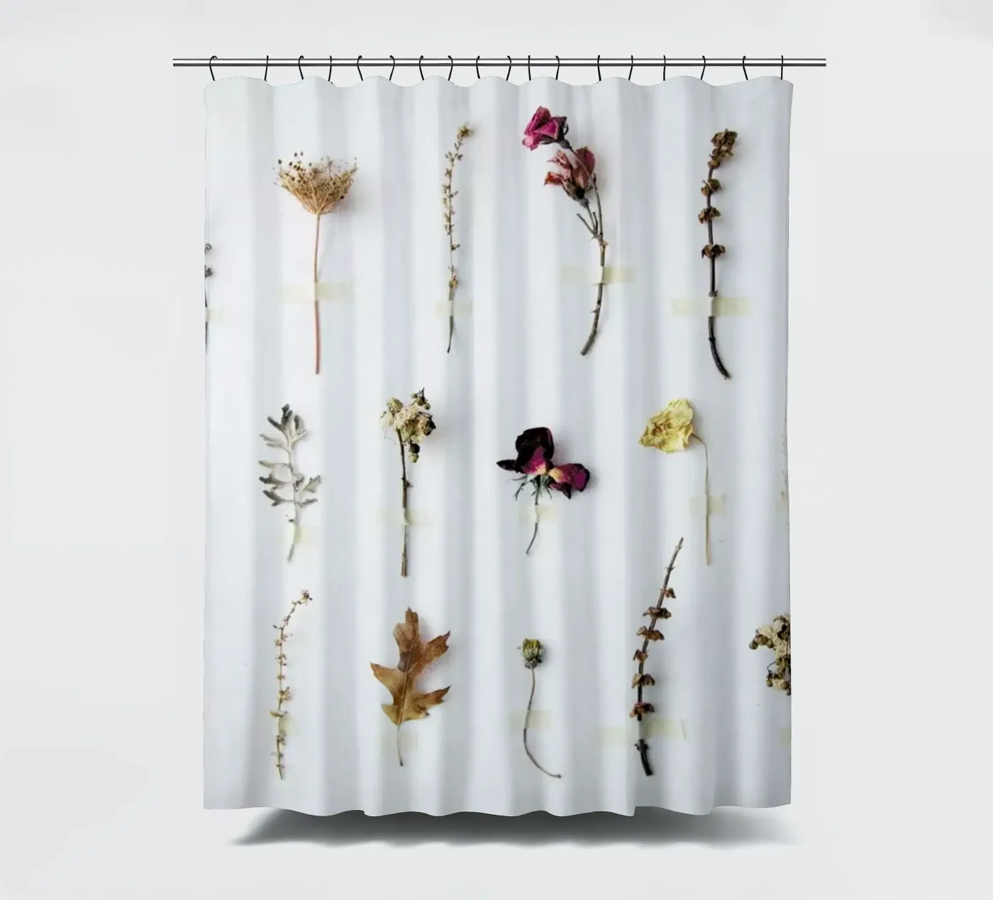 Flora Study Duschvorhang von Miles of Light