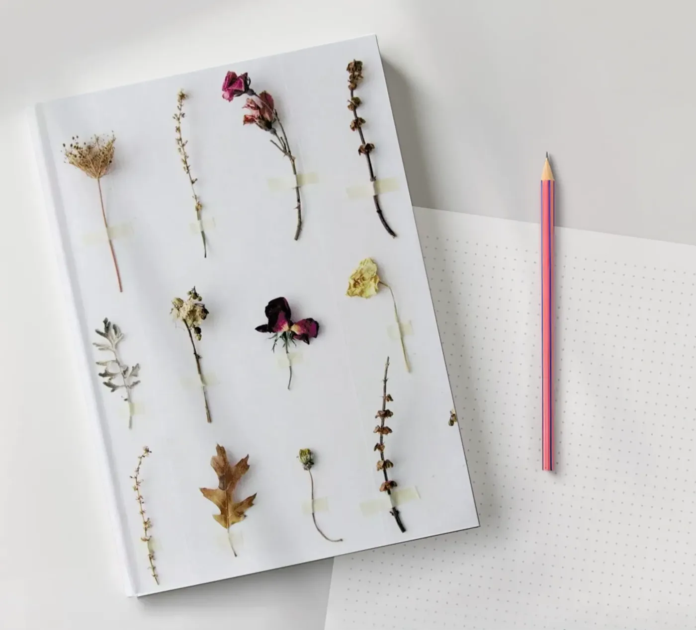 Flora Study notebook by Miles of Light