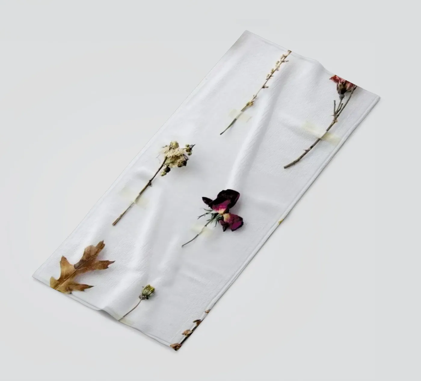 Flora Study telo mare da Miles of Light