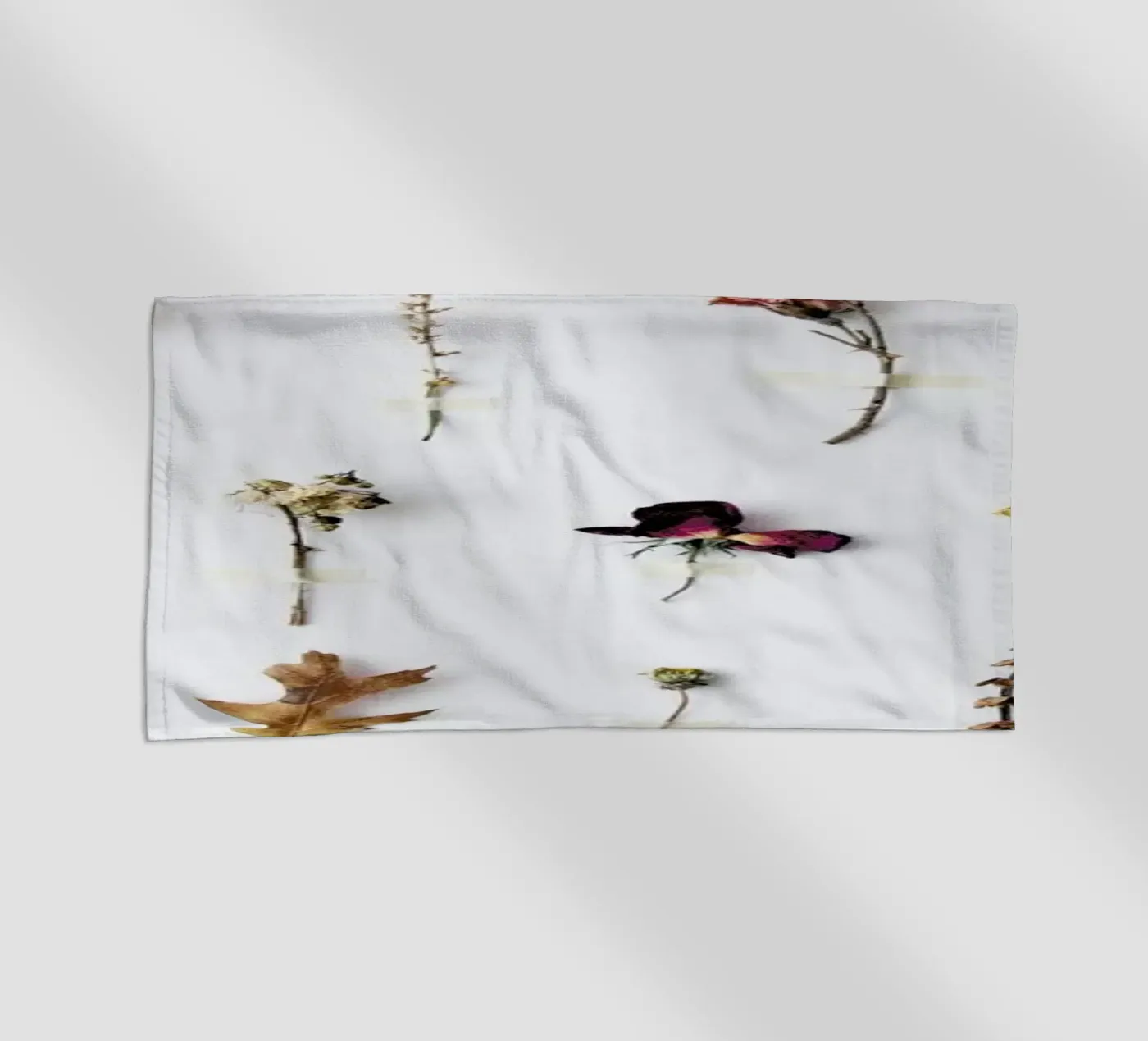 Flora Study telo mare da Miles of Light