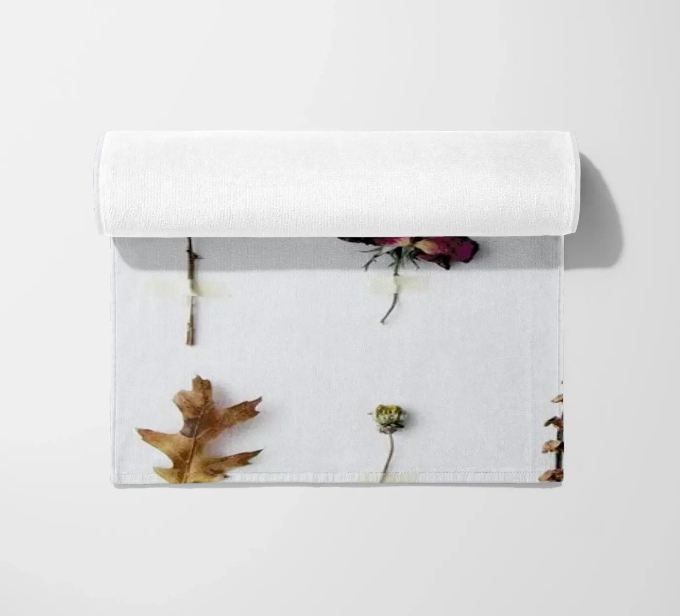 Flora Study telo mare da Miles of Light