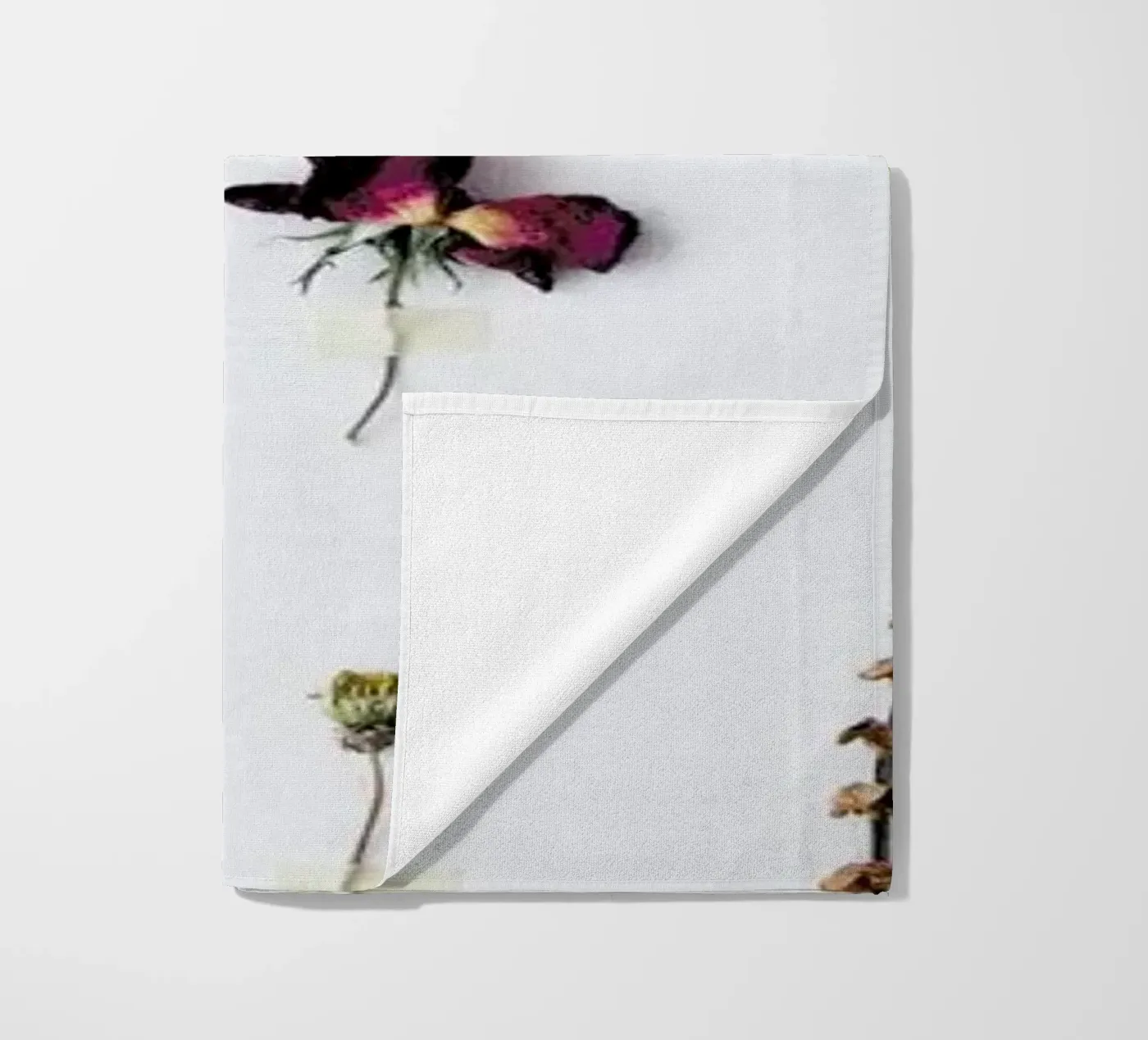 Flora Study telo mare da Miles of Light