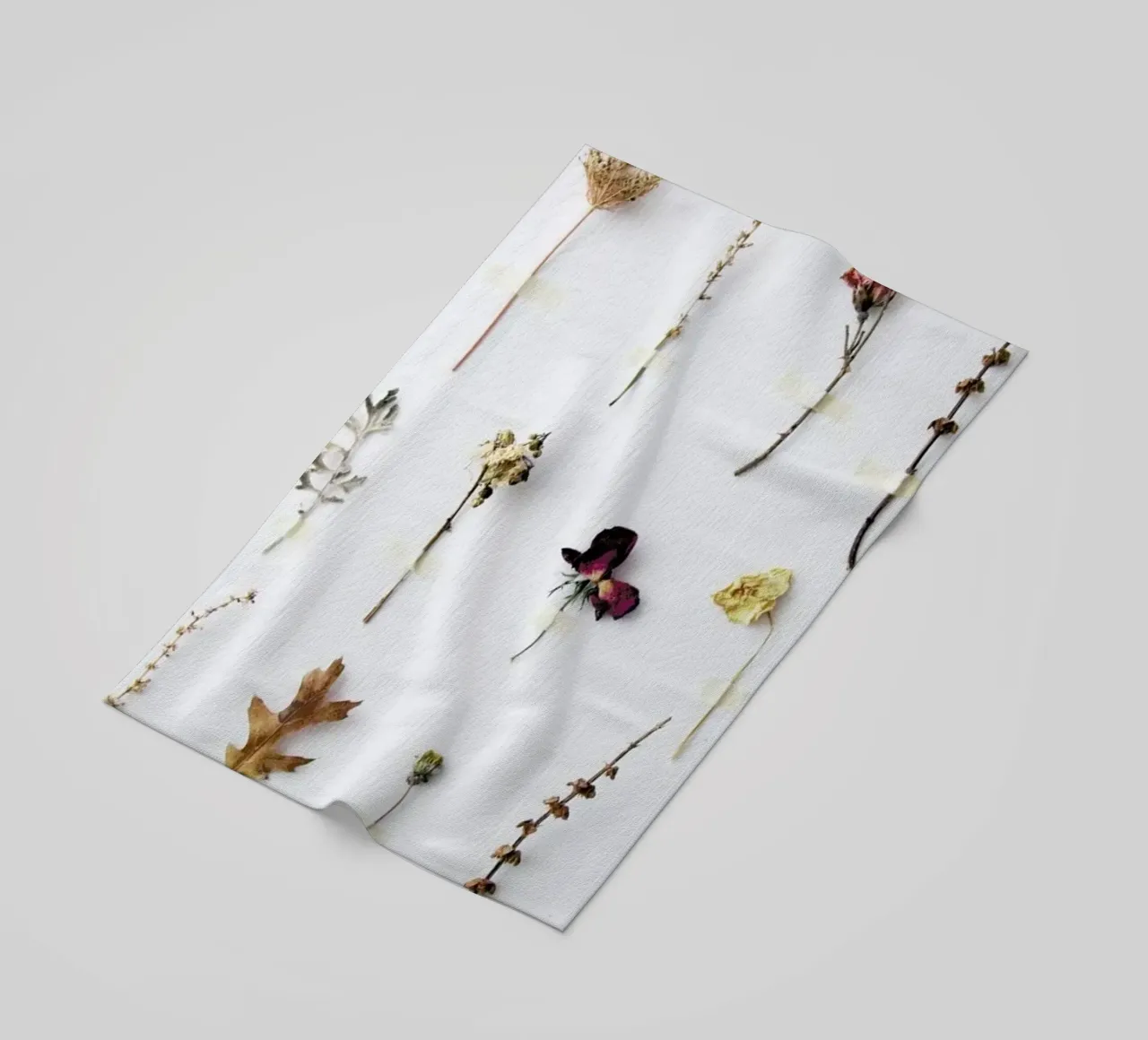 Flora Study telo mare da Miles of Light