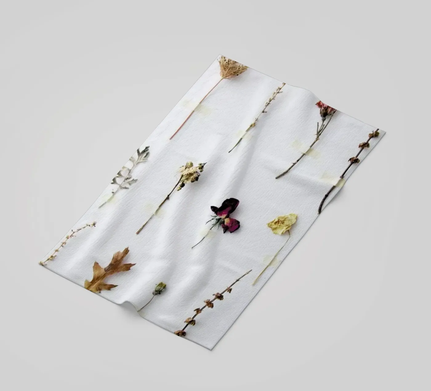 Flora Study telo mare da Miles of Light