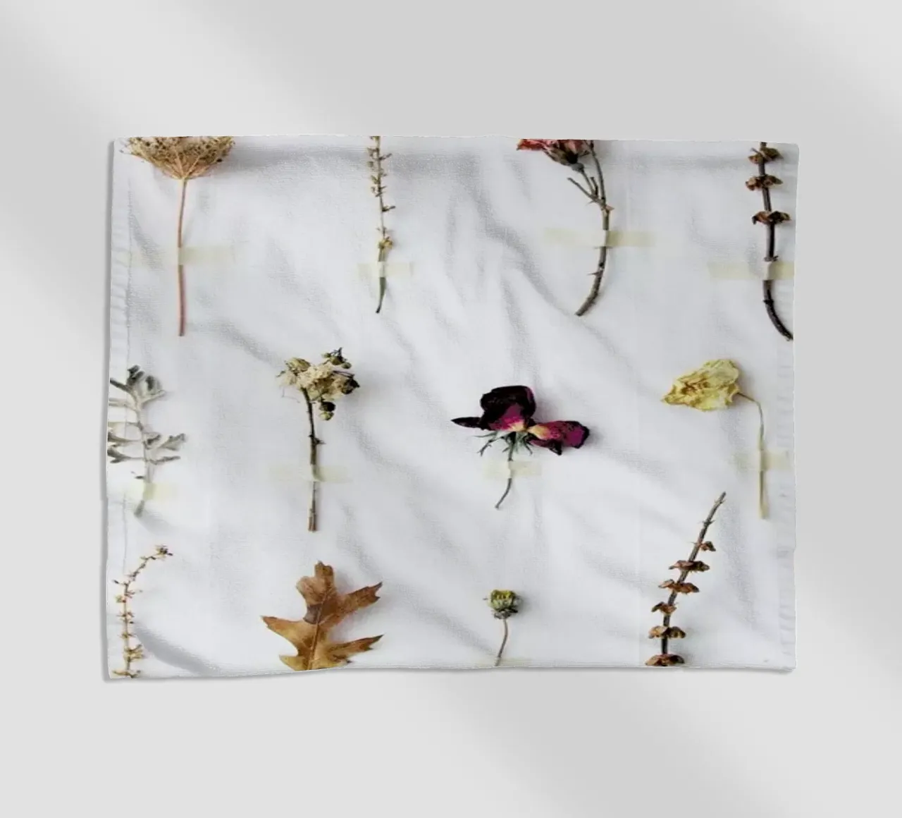 Flora Study telo mare da Miles of Light