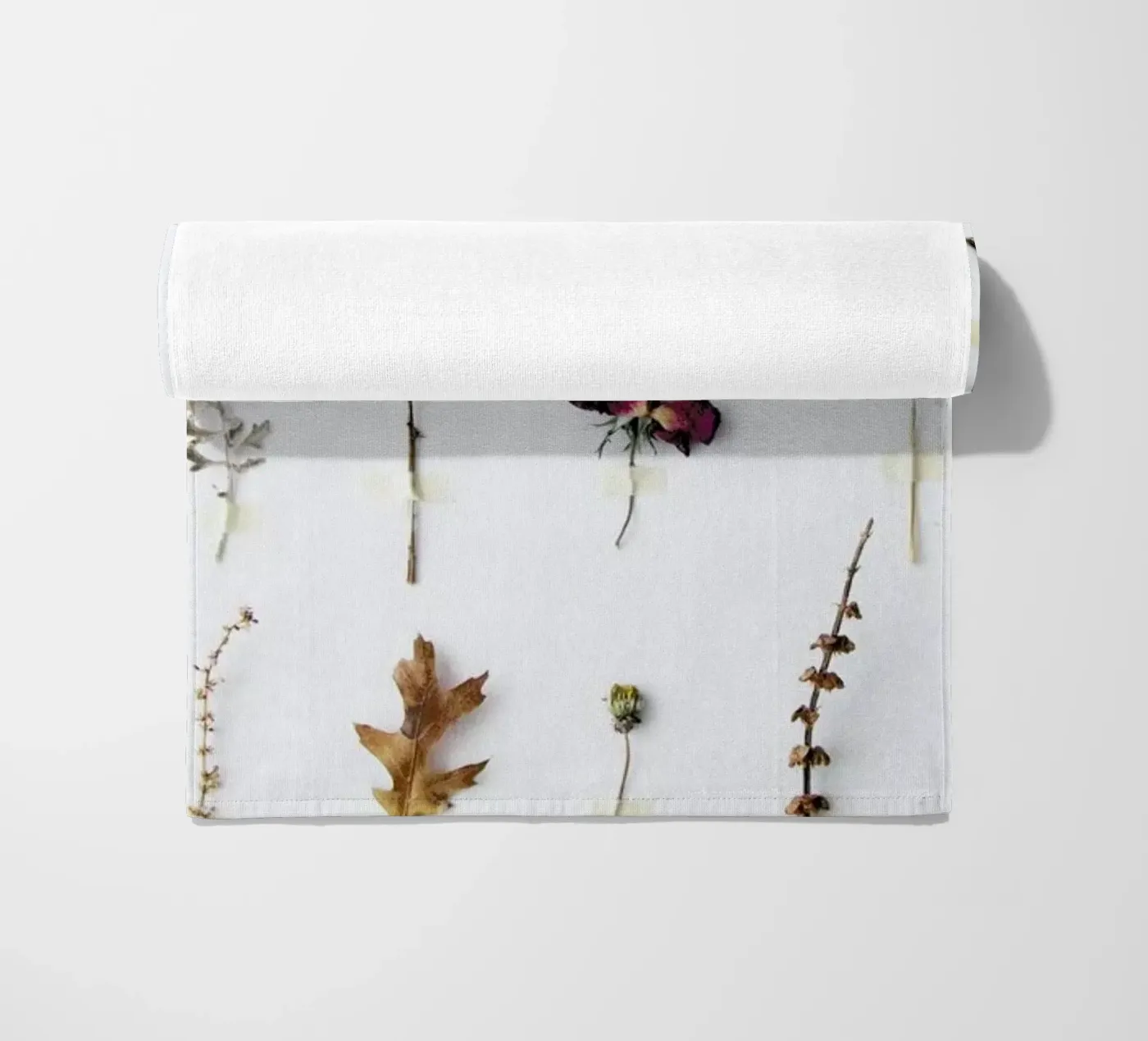 Flora Study telo mare da Miles of Light