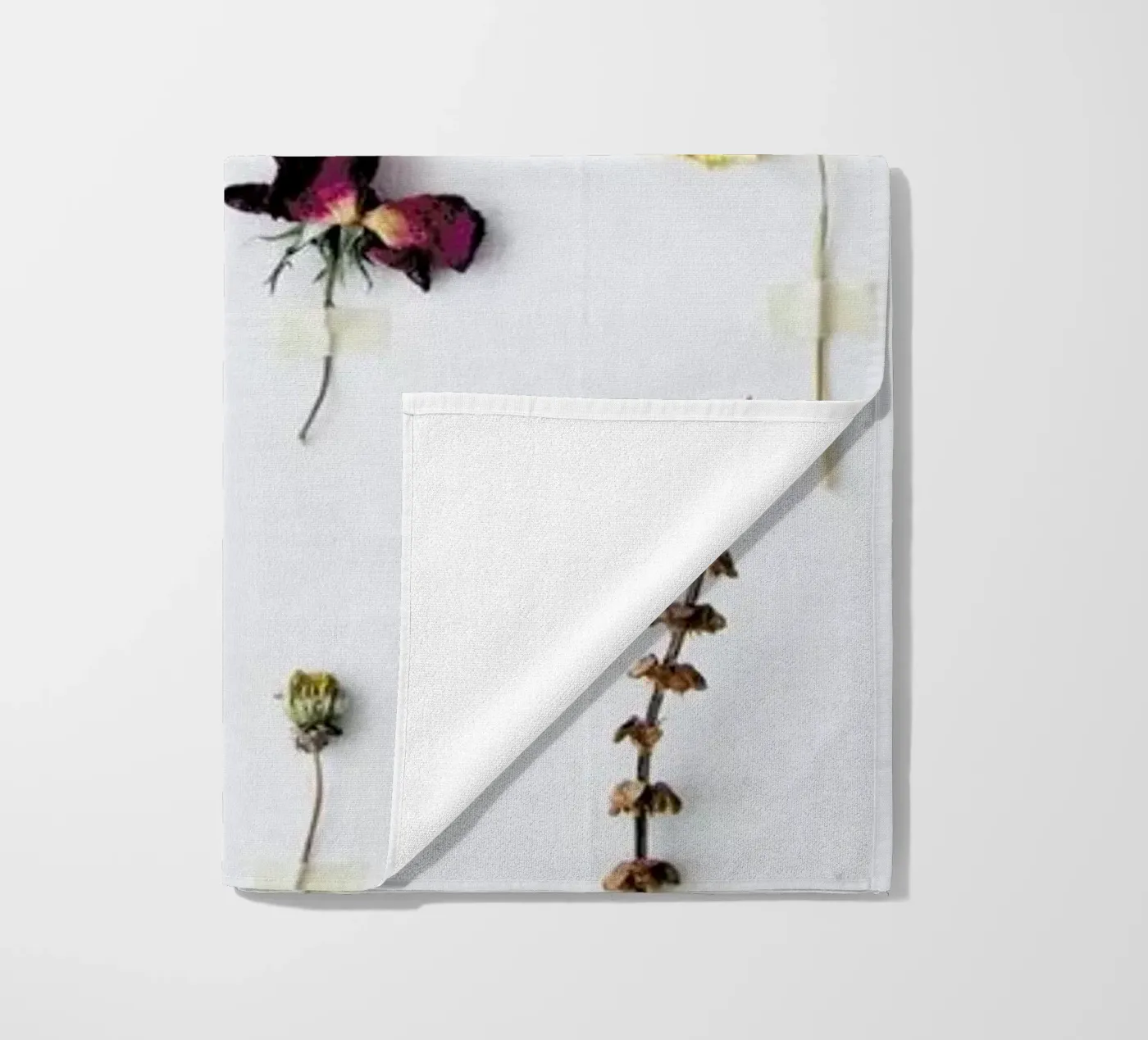 Flora Study telo mare da Miles of Light