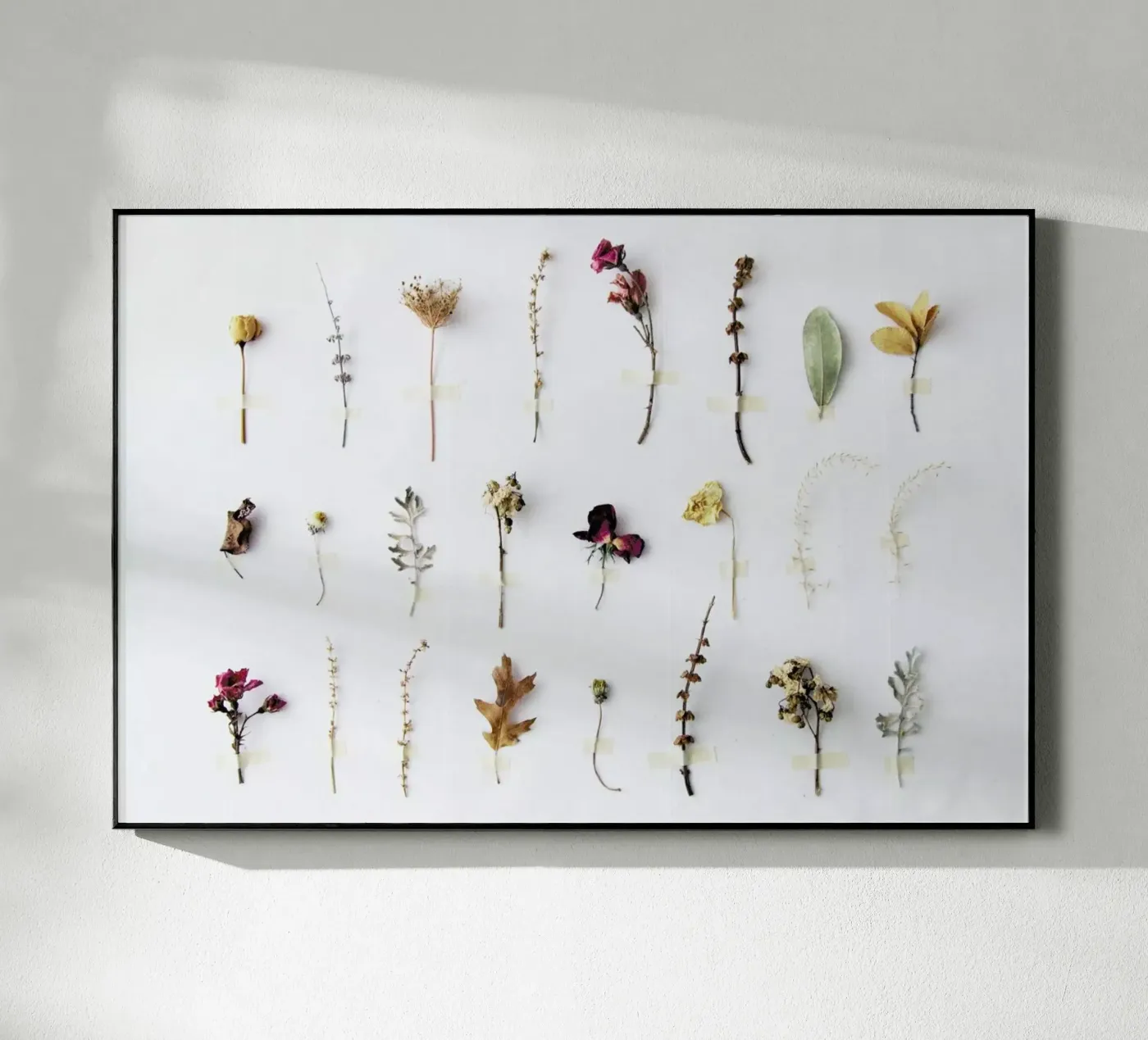 Flora Study acryl van Miles of Light