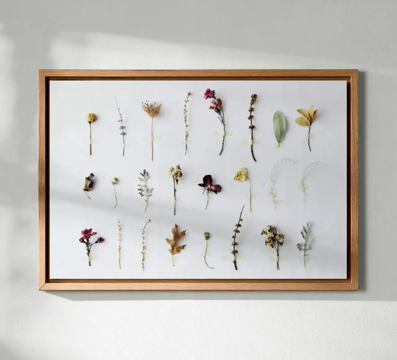 Flora Study pannello forex da Miles of Light