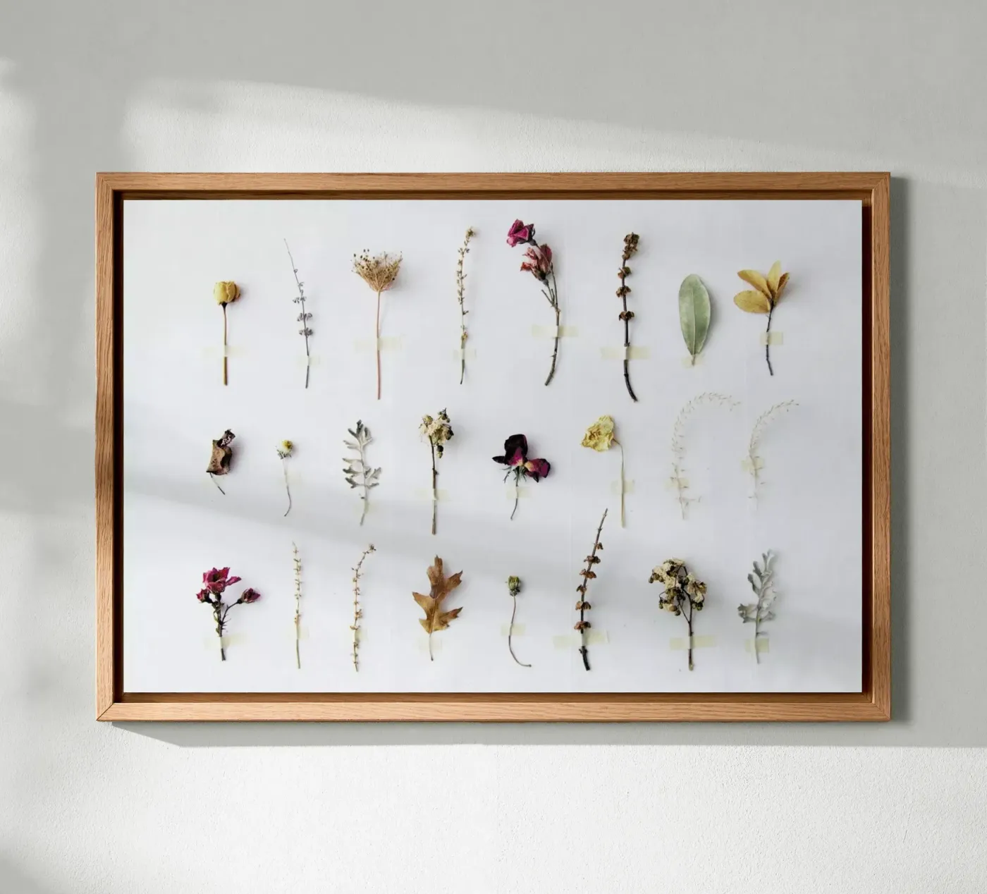 Flora Study pannello forex da Miles of Light