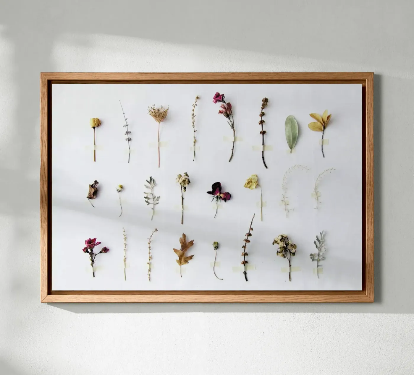 Flora Study forex-plaat van Miles of Light