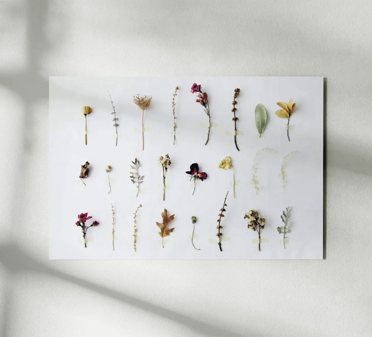 Flora Study pannello forex da Miles of Light