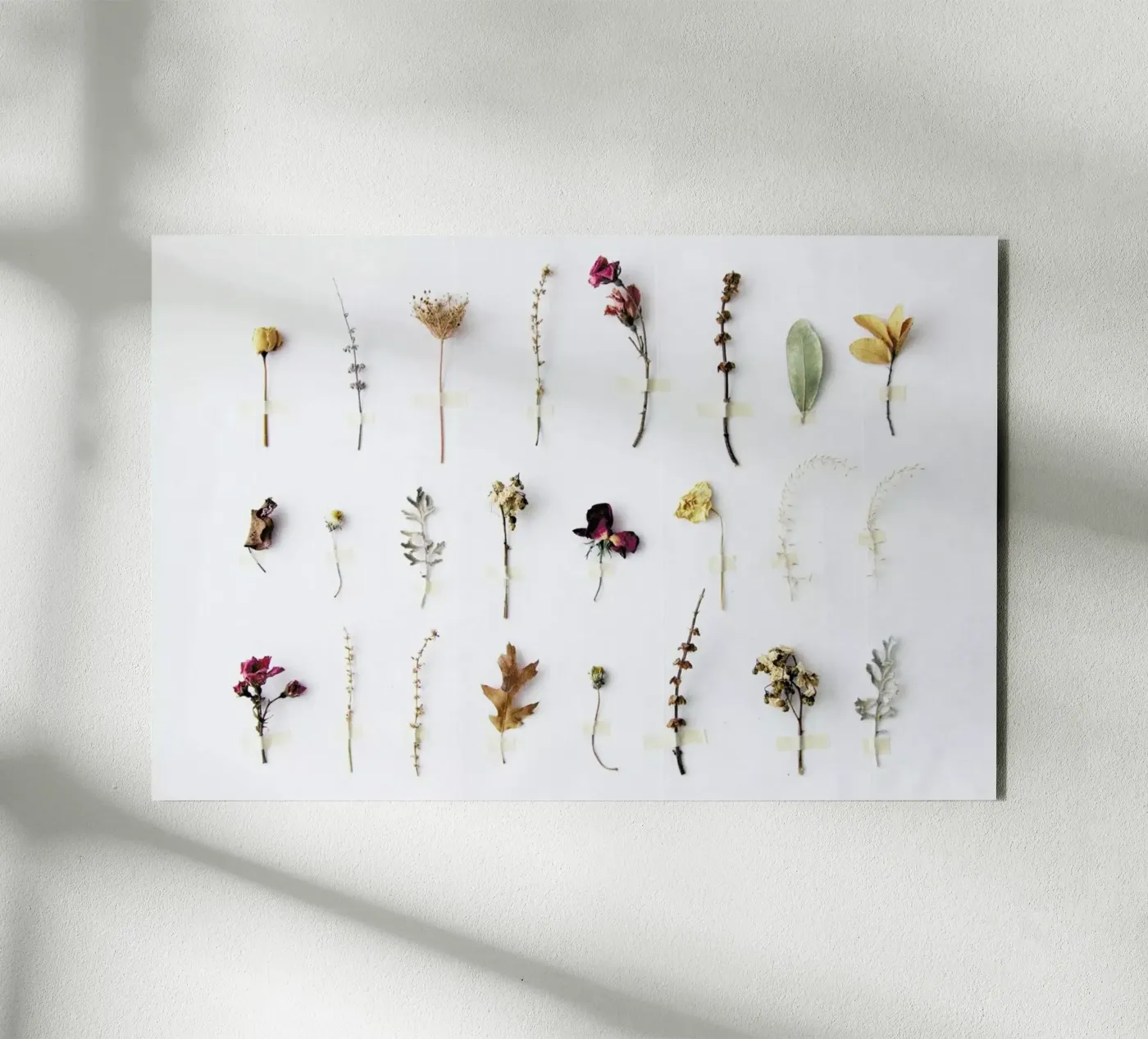 Flora Study pannello forex da Miles of Light