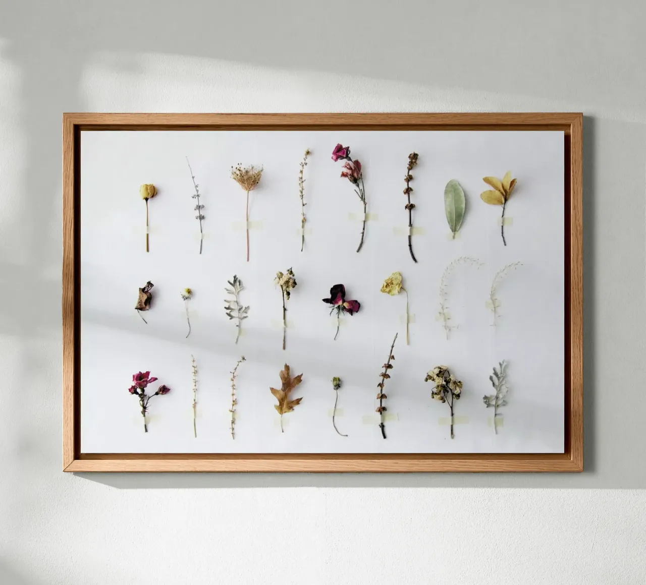 Flora Study tela da Miles of Light