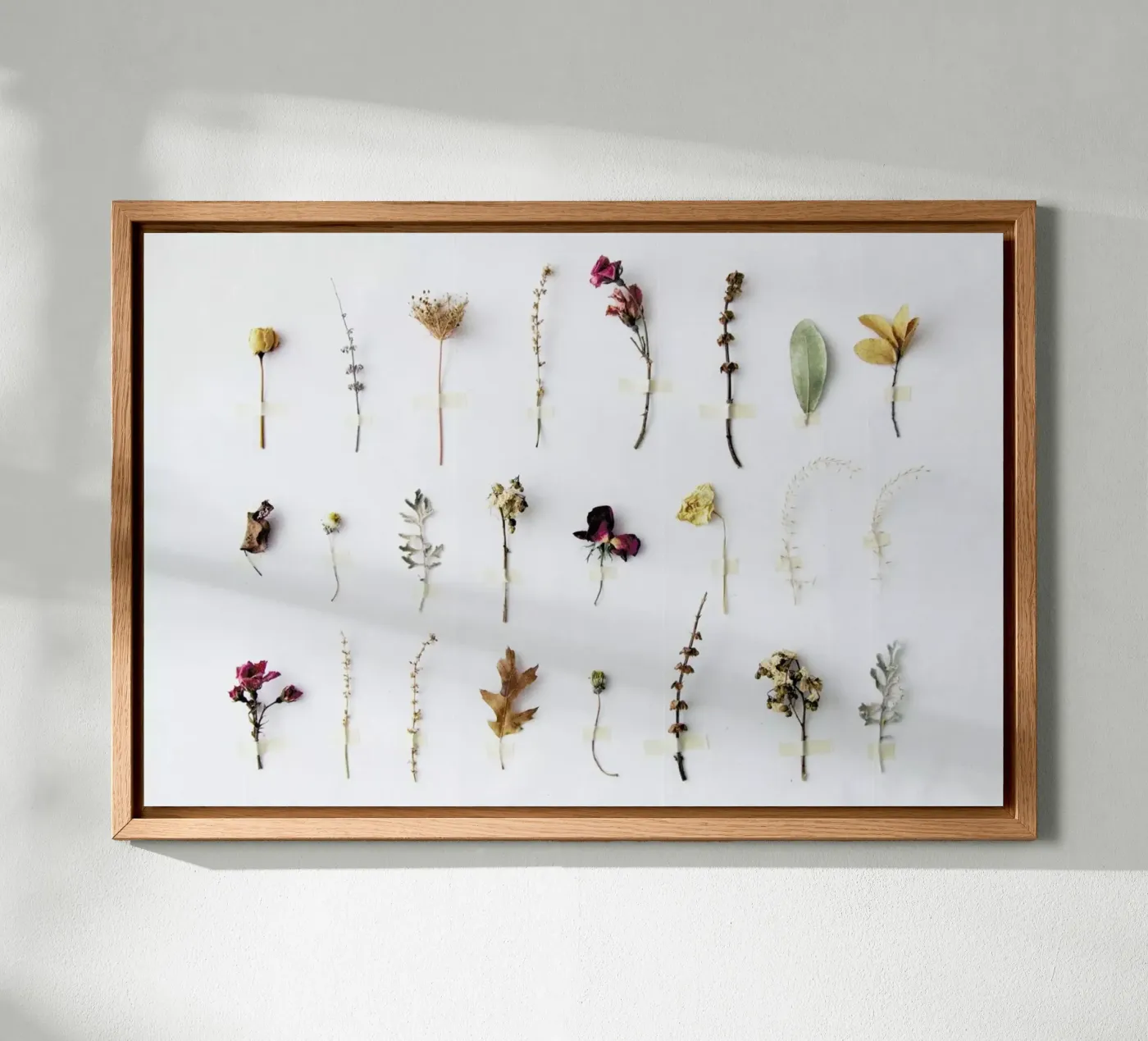 Flora Study Leinwand von Miles of Light