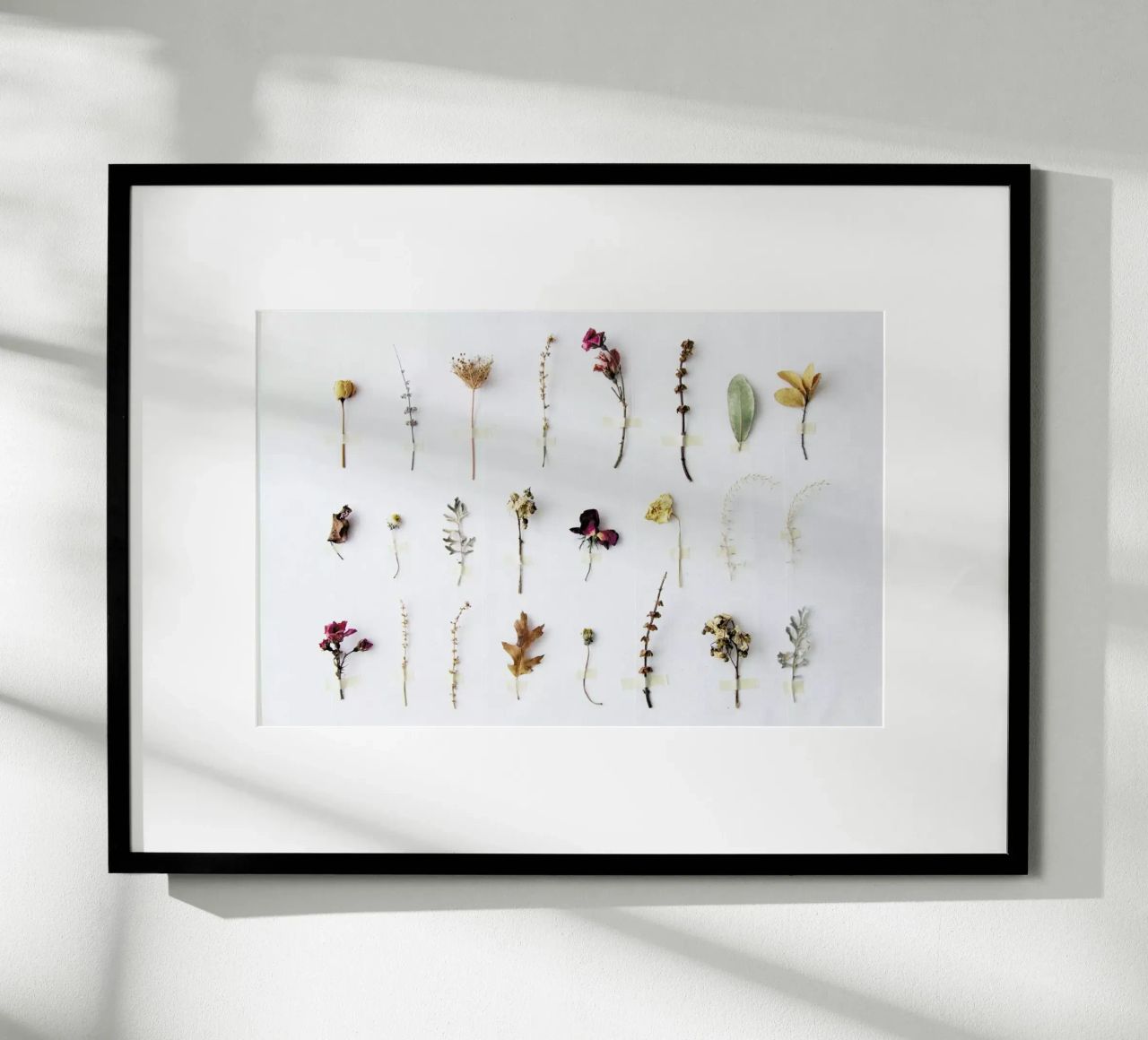 Flora Study Poster von Miles of Light