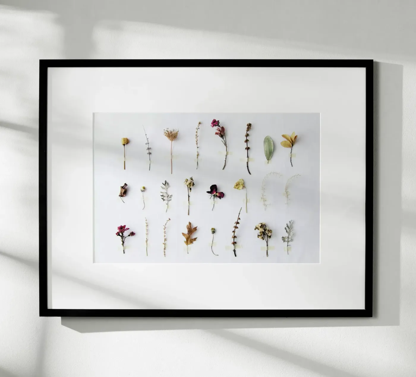 Flora Study poster van Miles of Light