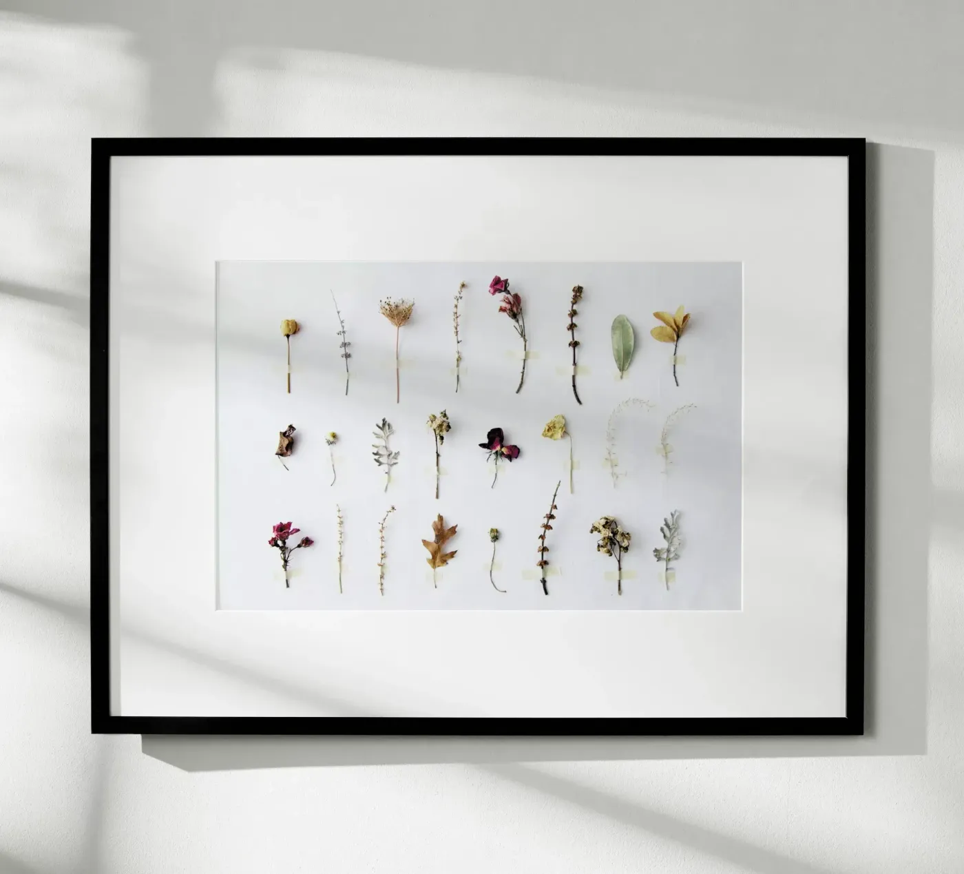 Flora Study poster da Miles of Light