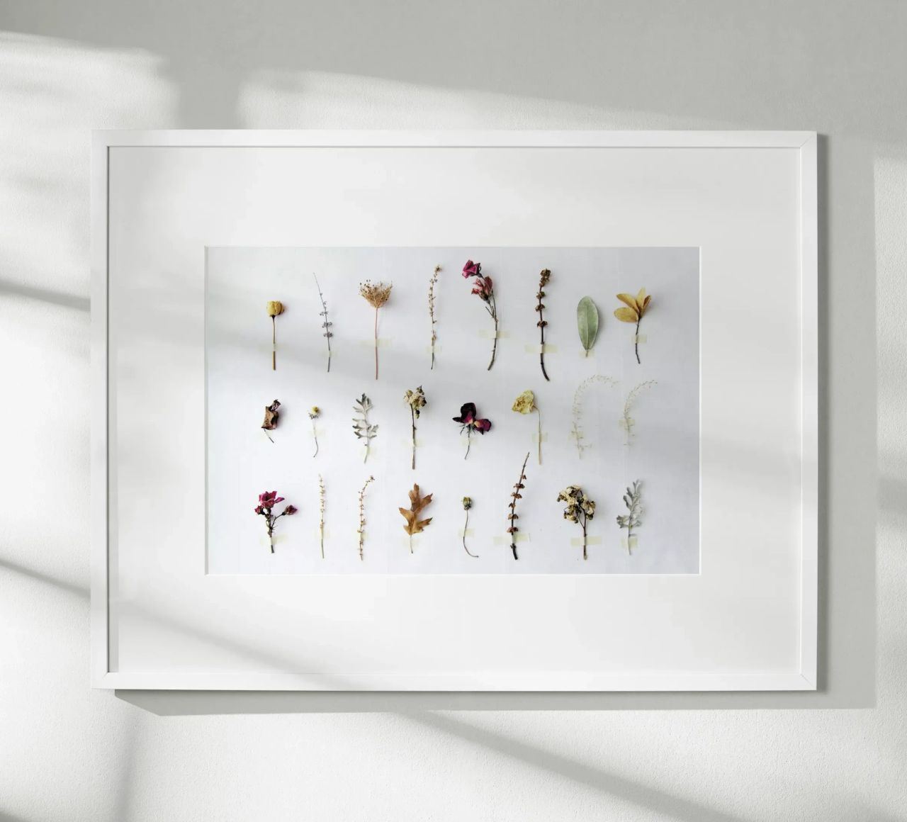 Flora Study Poster von Miles of Light