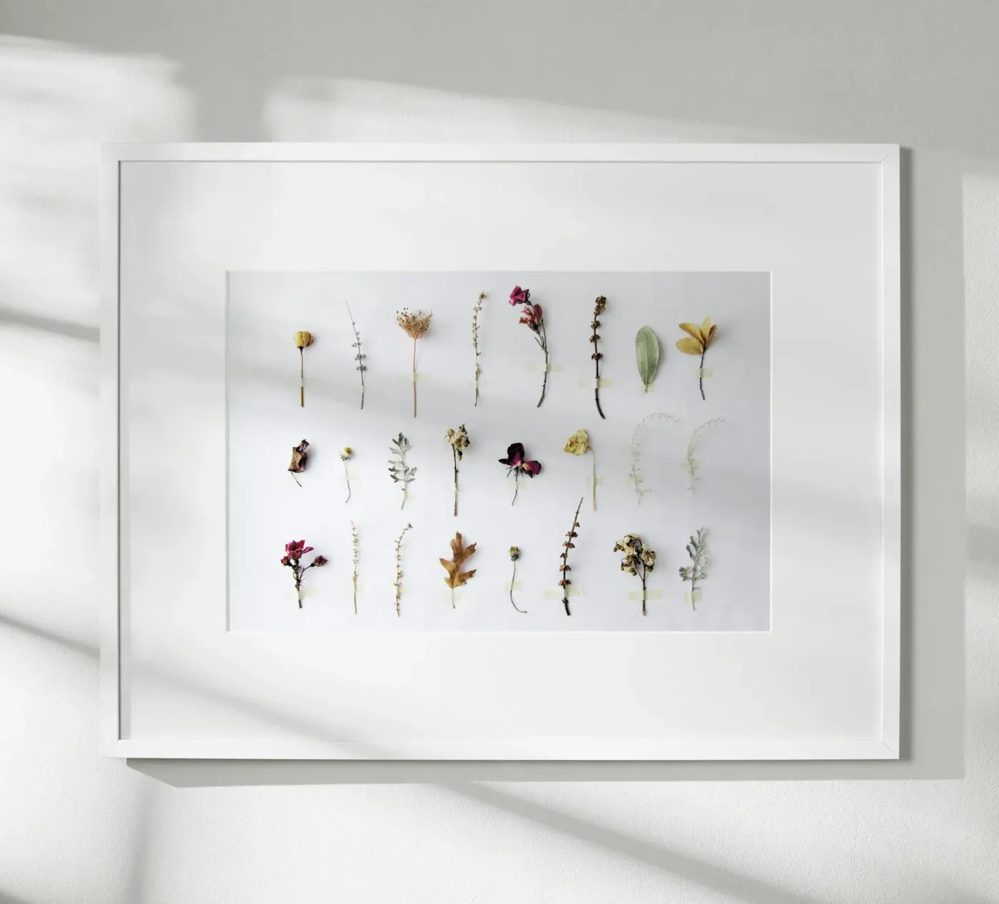 Flora Study poster van Miles of Light