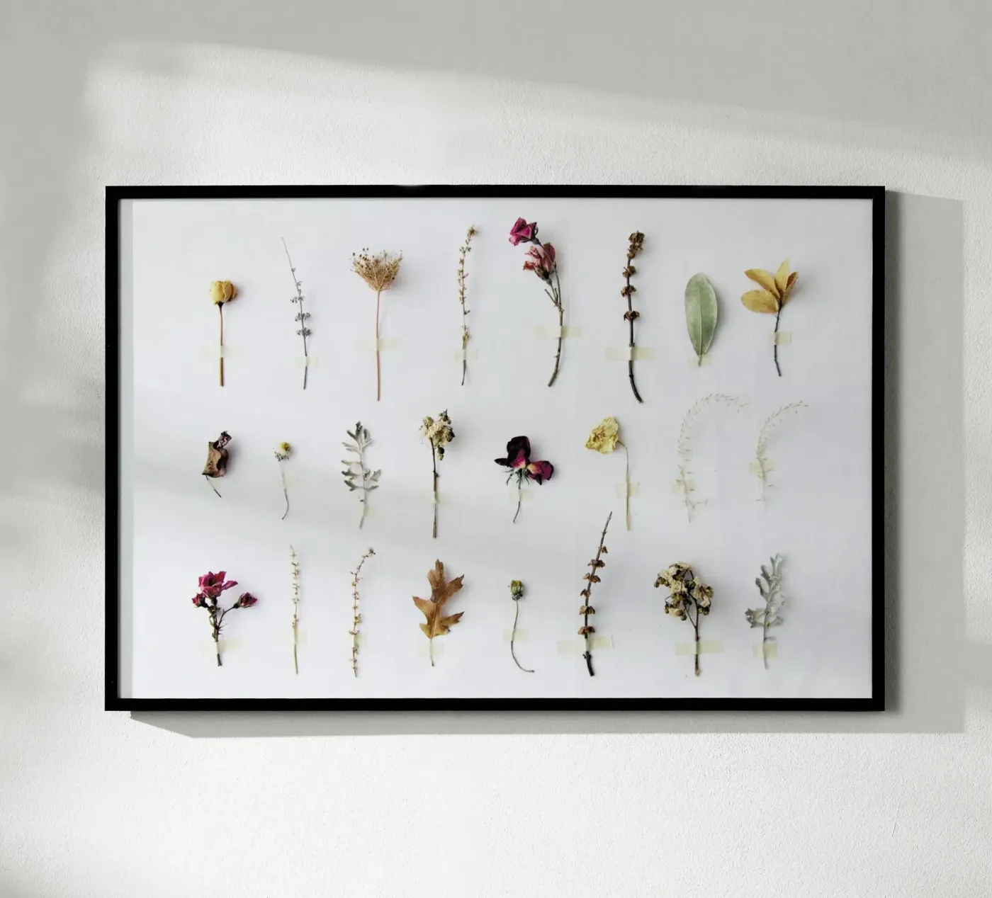 Flora Study poster van Miles of Light