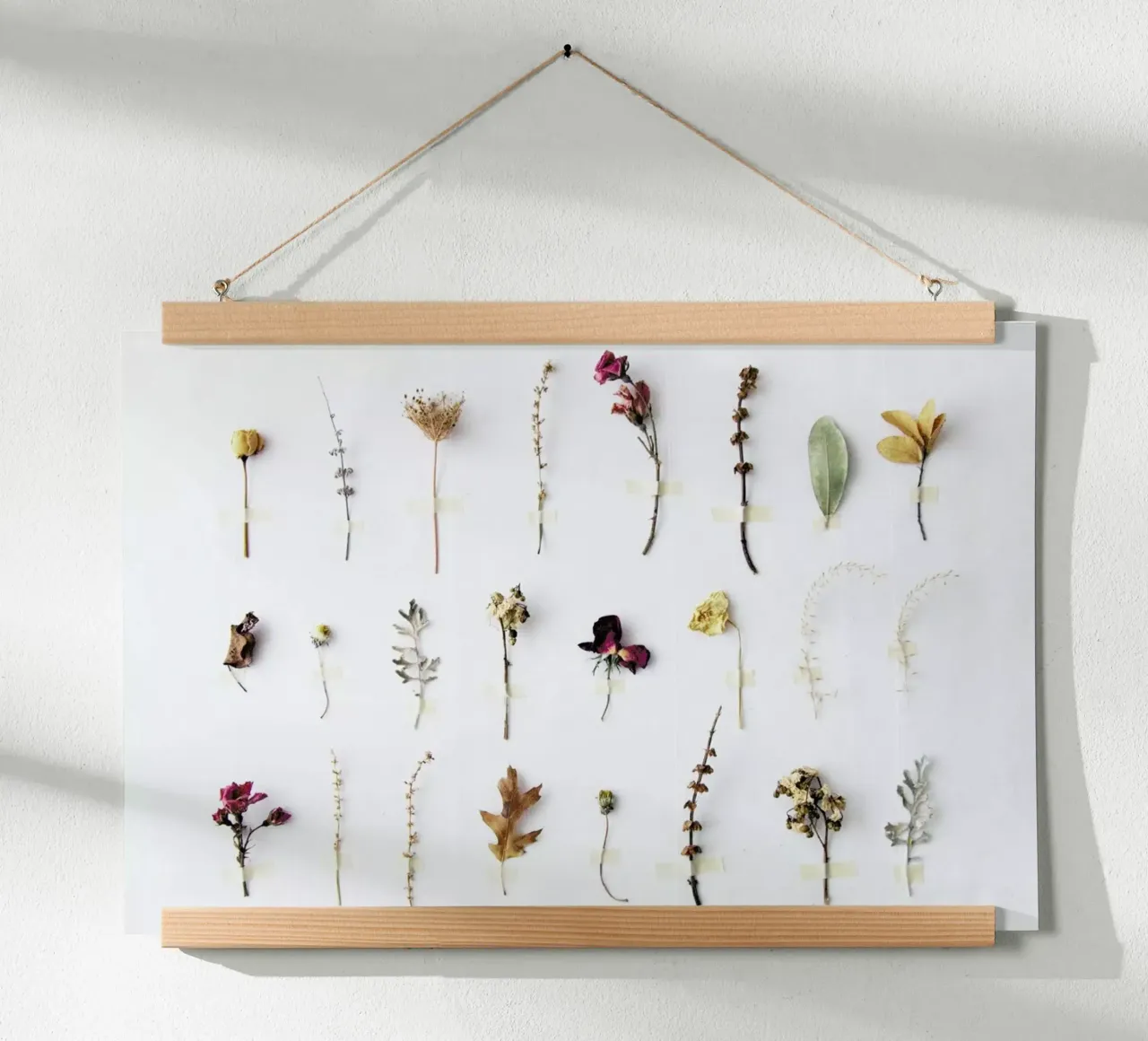 Flora Study poster da Miles of Light