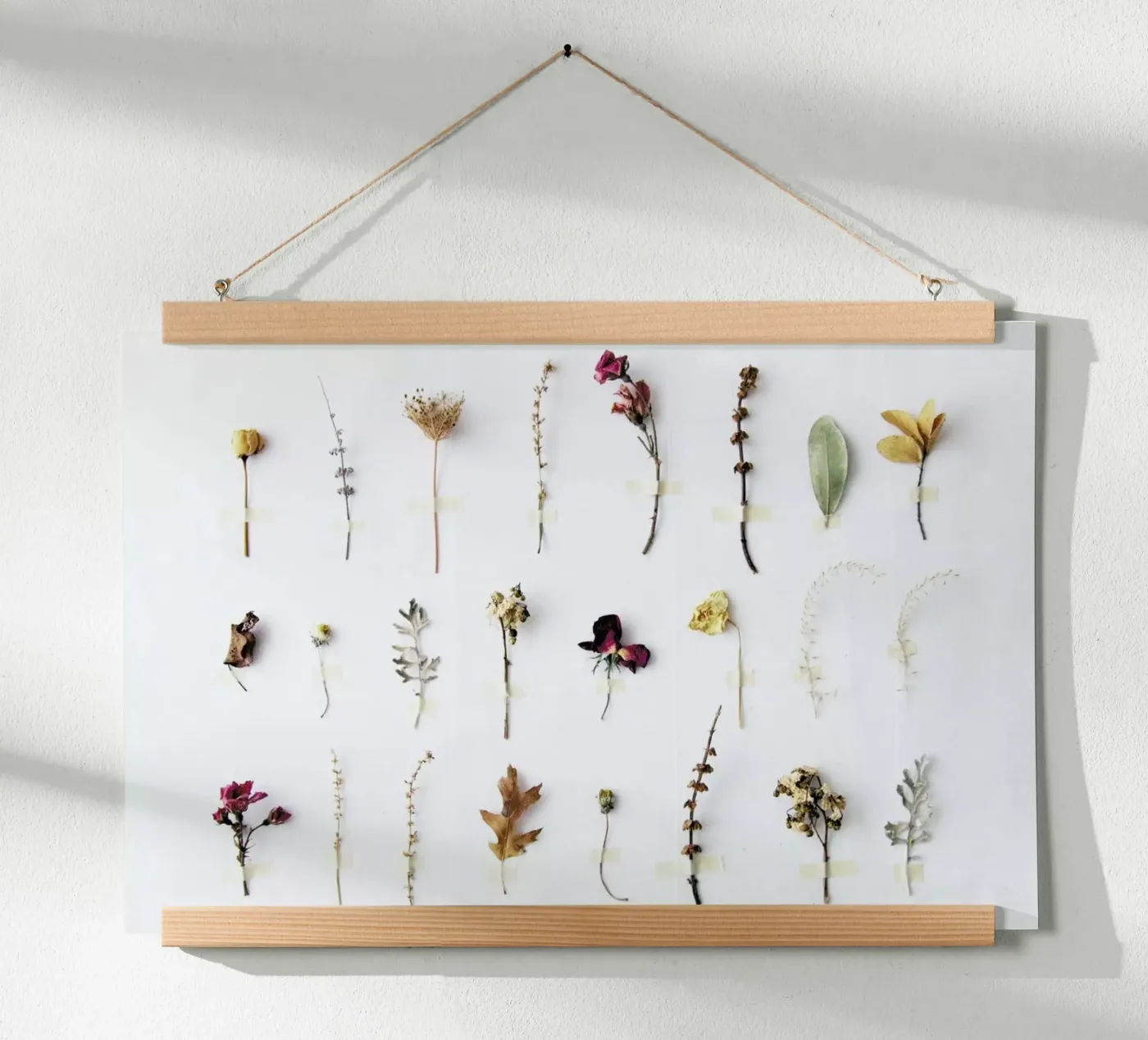 Flora Study poster van Miles of Light