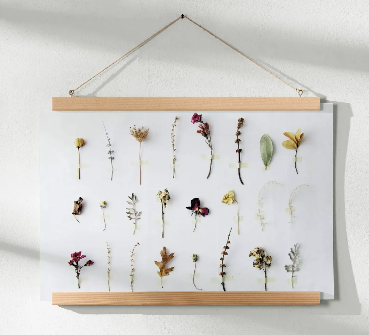 Flora Study poster da Miles of Light