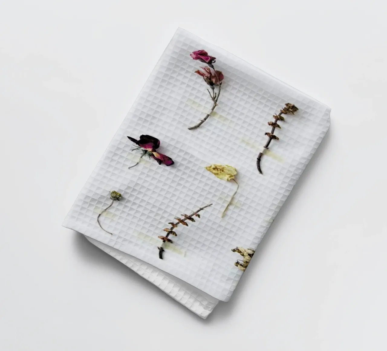 Flora Study torchon de Miles of Light