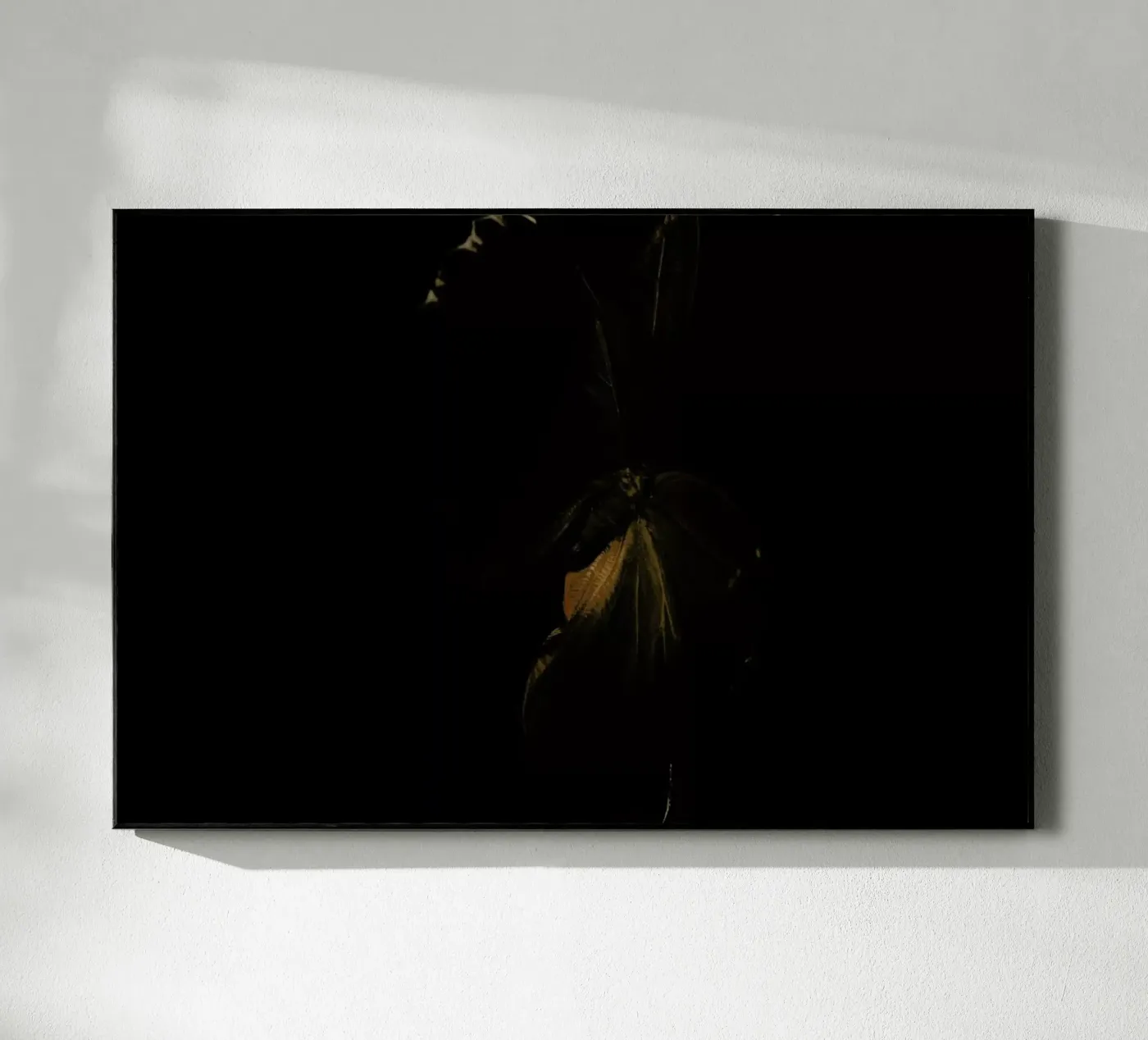 Butterflies 4 plexiglass da Günther Egger